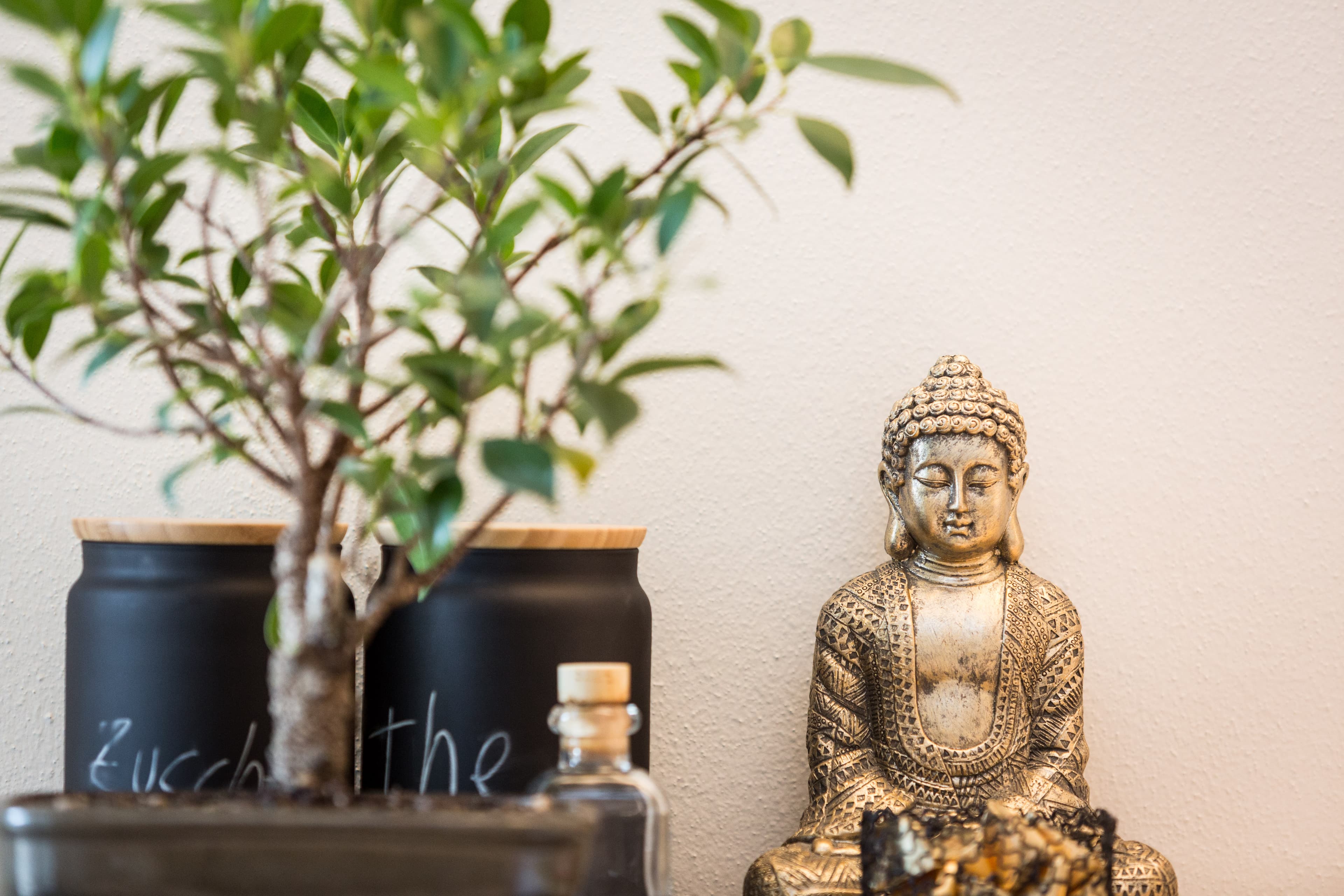 Mindfulness